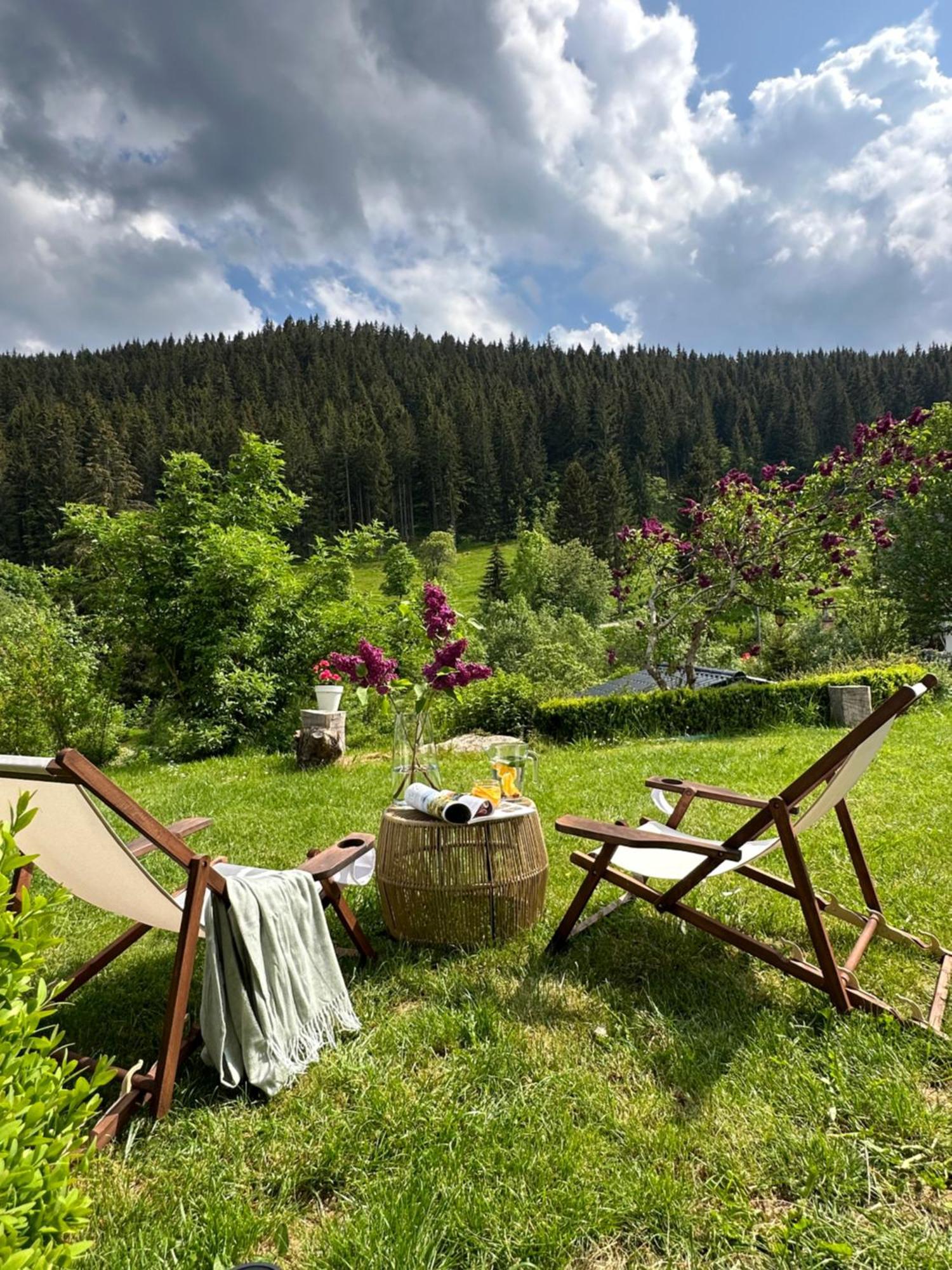 Black Forest Dream Apartments Feldberg  Exterior photo
